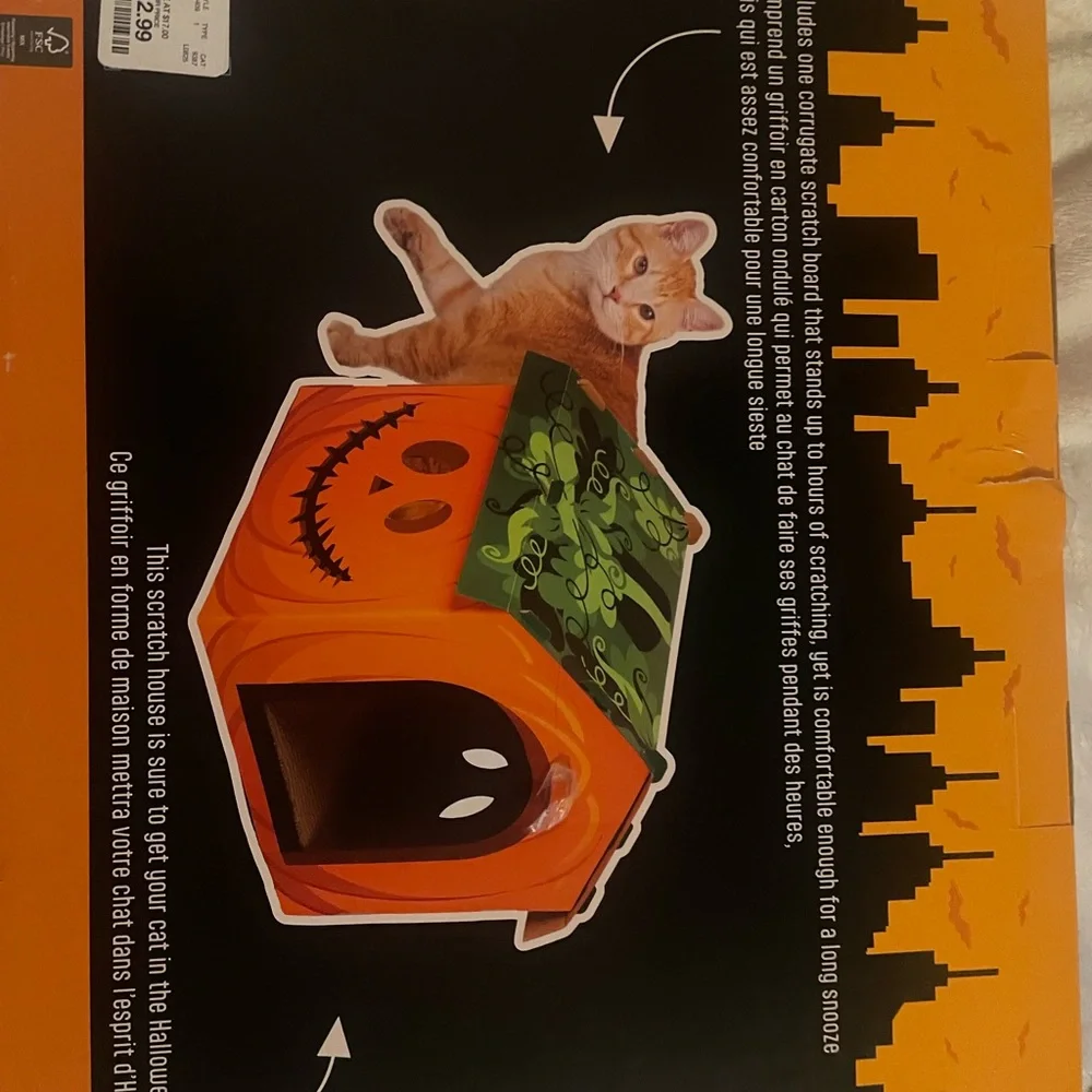Kitty City Pumpkin Scratch House